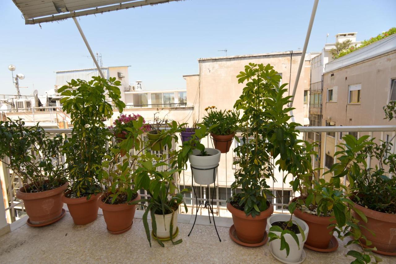 Athens Stylish Top Floor Apartment Syntagma Metro Εξωτερικό φωτογραφία